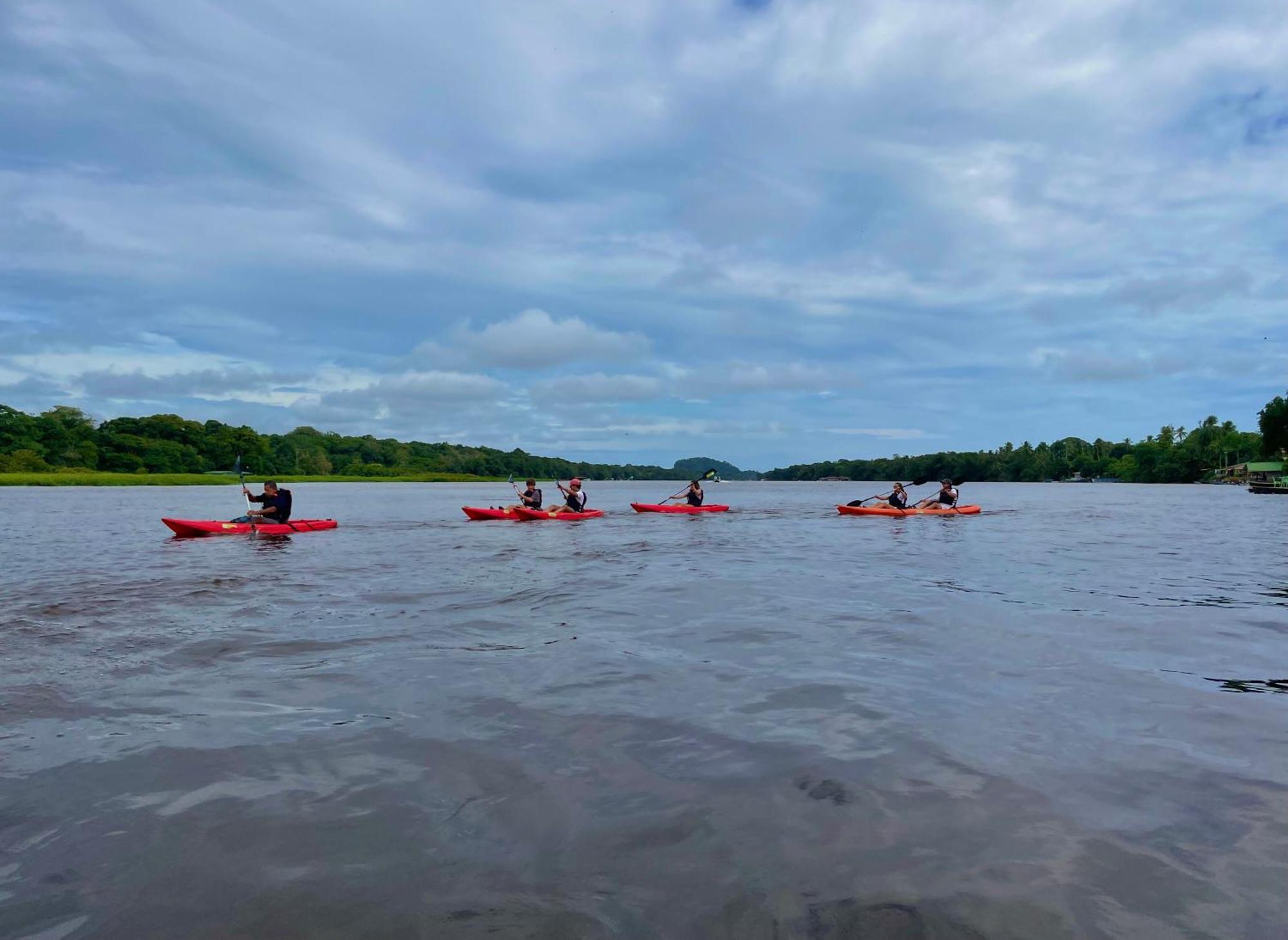Carey Lodging Tortuguero Zewnętrze zdjęcie
