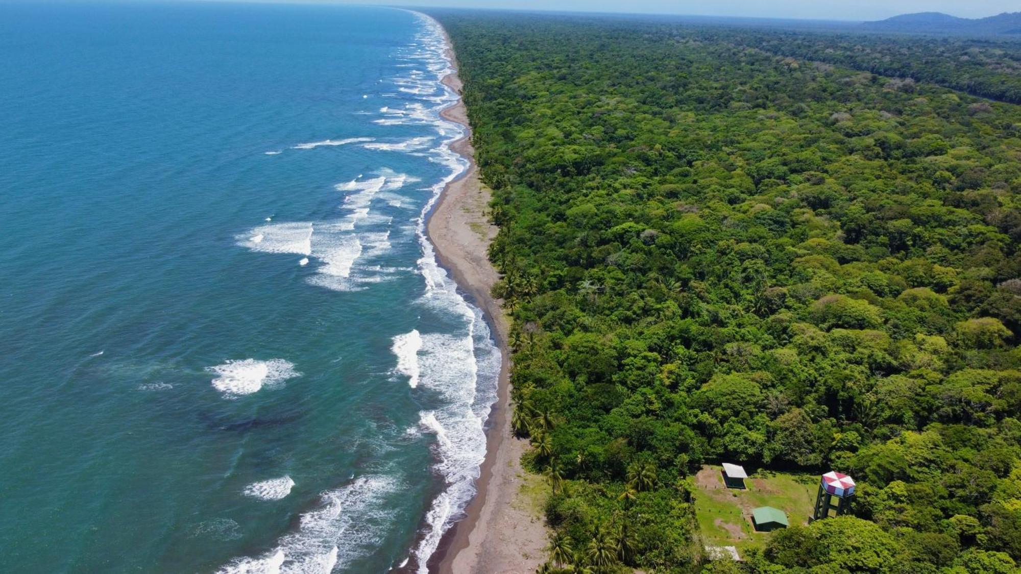 Carey Lodging Tortuguero Zewnętrze zdjęcie