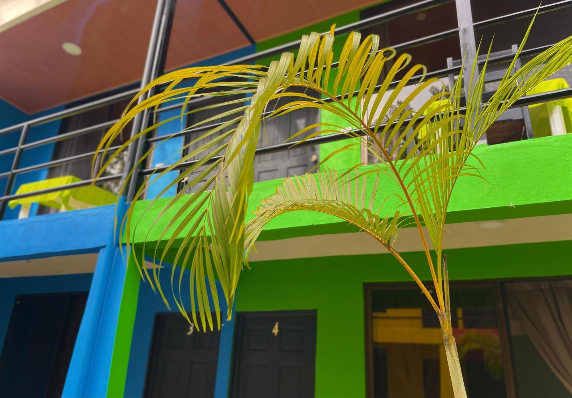Carey Lodging Tortuguero Zewnętrze zdjęcie