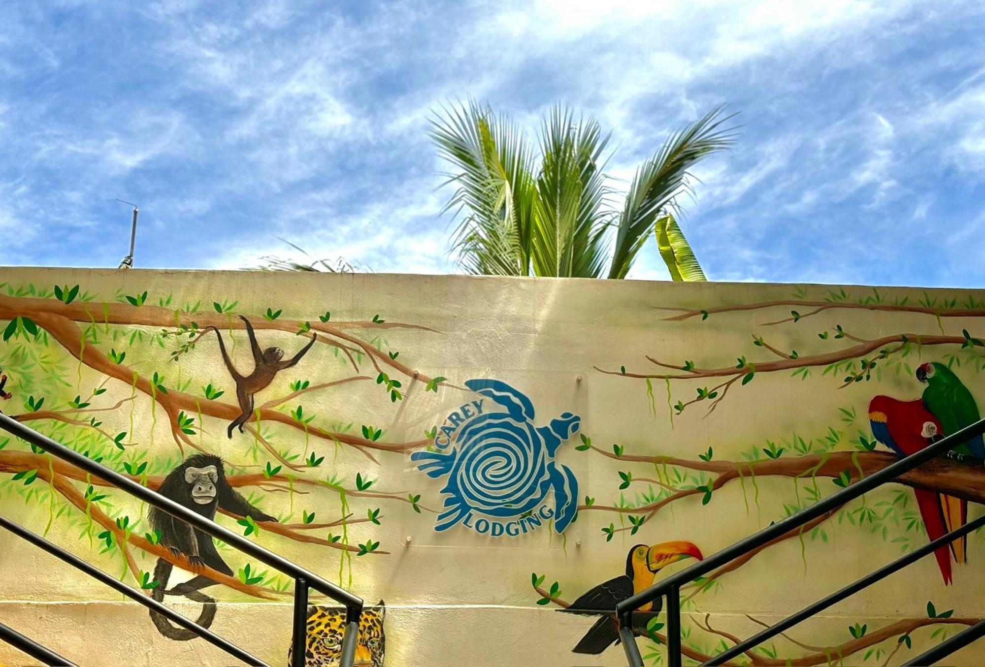Carey Lodging Tortuguero Zewnętrze zdjęcie