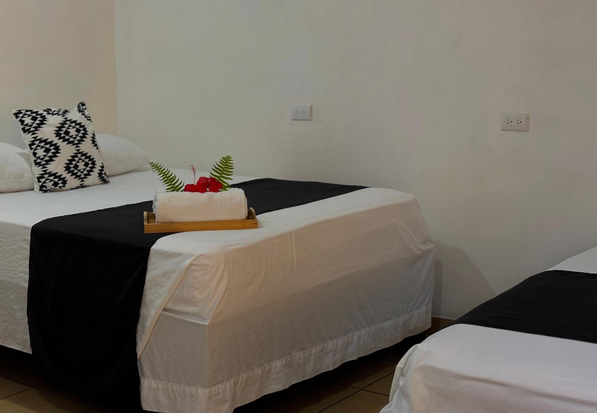 Carey Lodging Tortuguero Zewnętrze zdjęcie