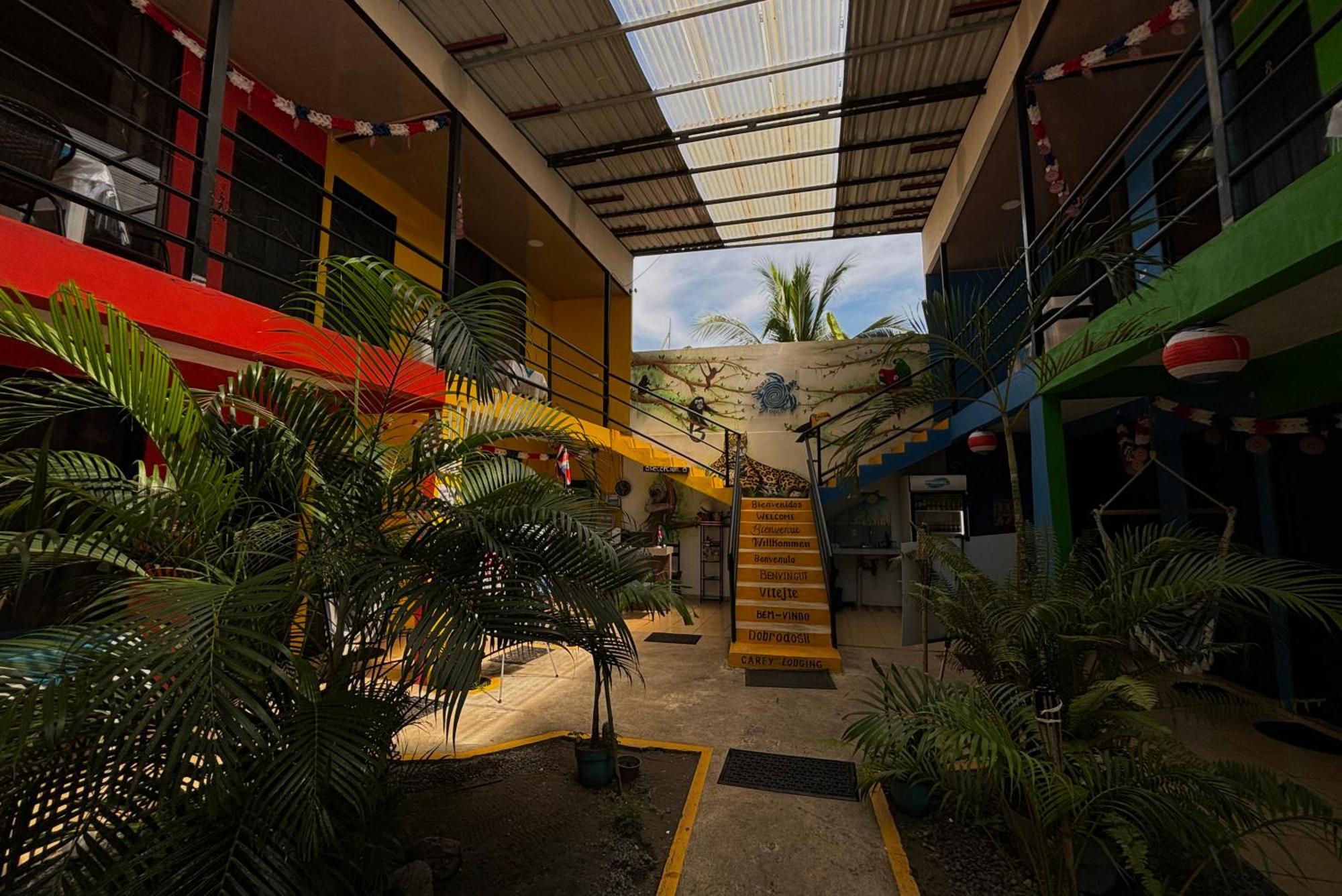 Carey Lodging Tortuguero Zewnętrze zdjęcie
